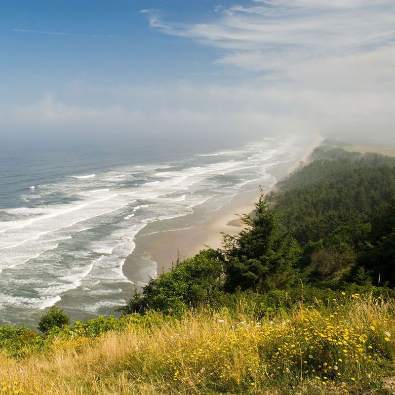 Cape Lookout State Park