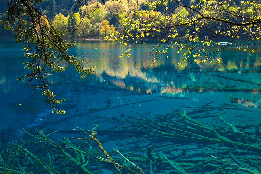 Five Flower Lake, China