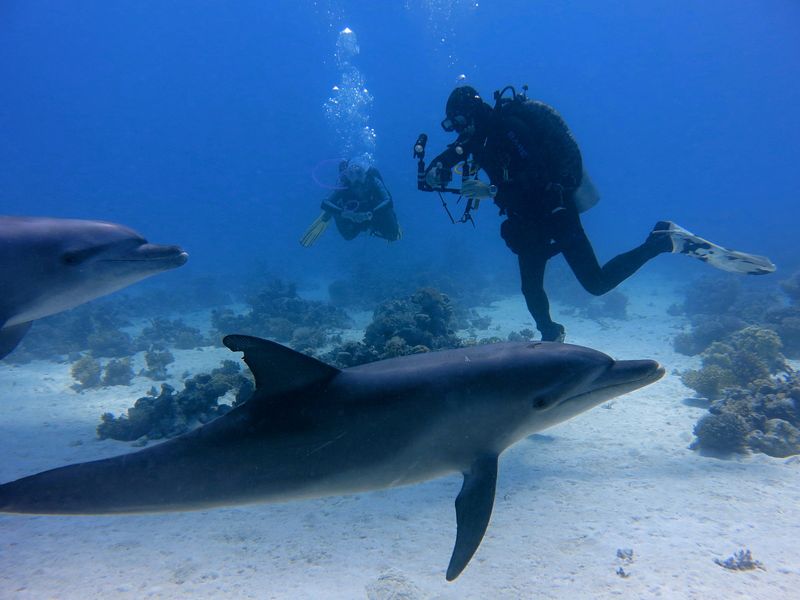 Hurghada, Egypt - Red Sea Dolphin Capital