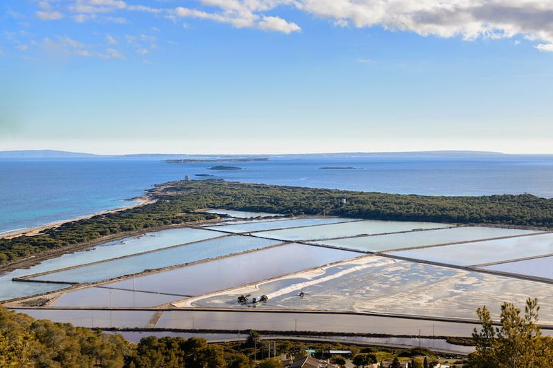 Ses Salines Natural Park