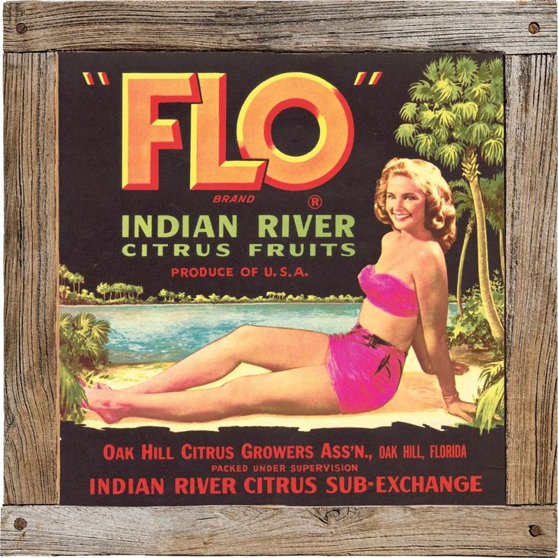 Florida Citrus Tours: “Swim Year-Round in Sunny Florida!”