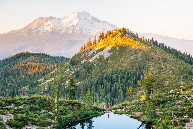 Mount Shasta