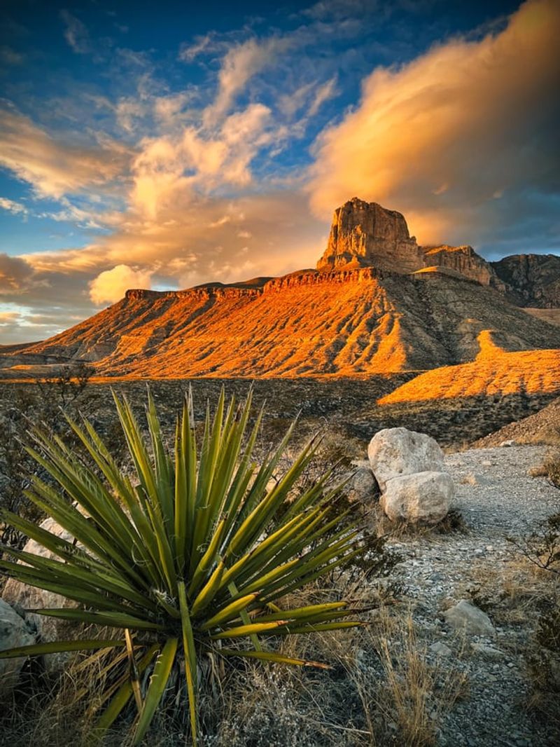 Guadalupe Mountains National Park