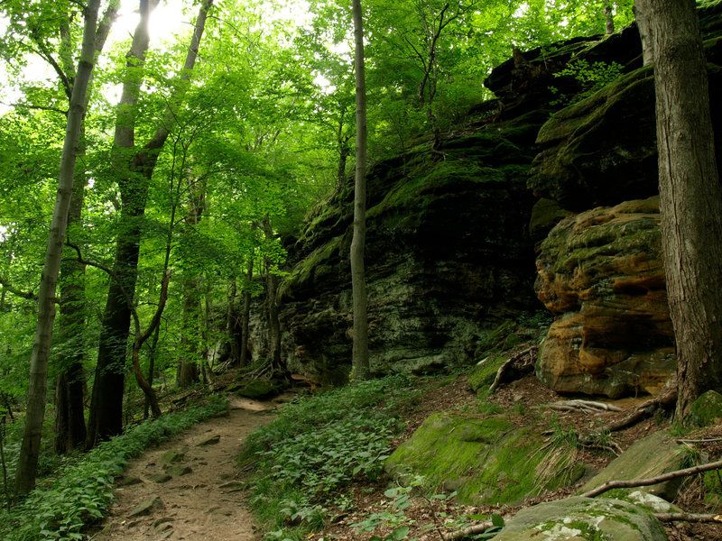 Walk the Peaceful Grounds
