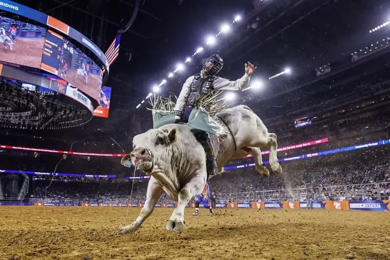 Attending the Houston Livestock Show and Rodeo