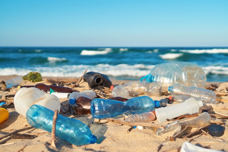 Plastic Ban Initiatives