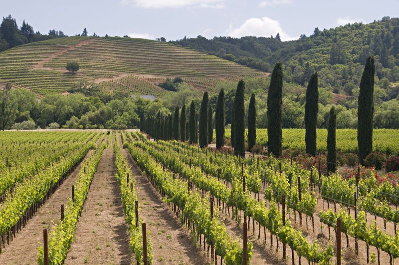 Healdsburg, California