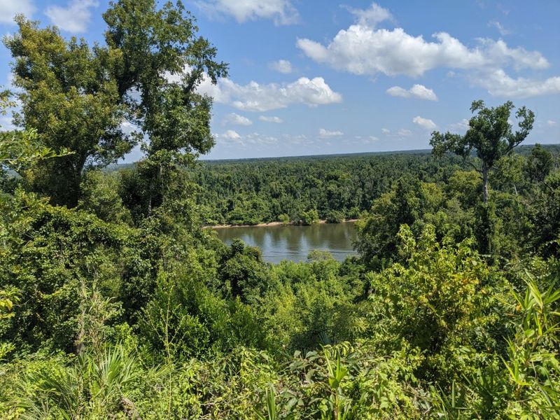Torreya State Park