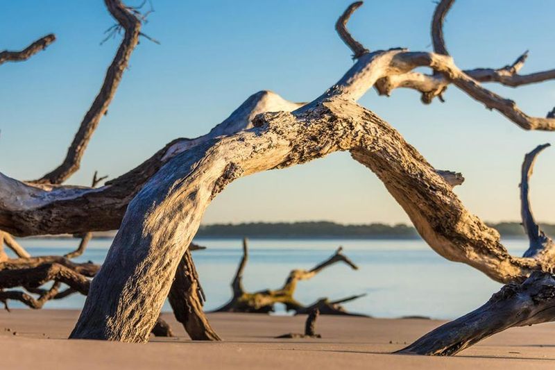 Big Talbot Island