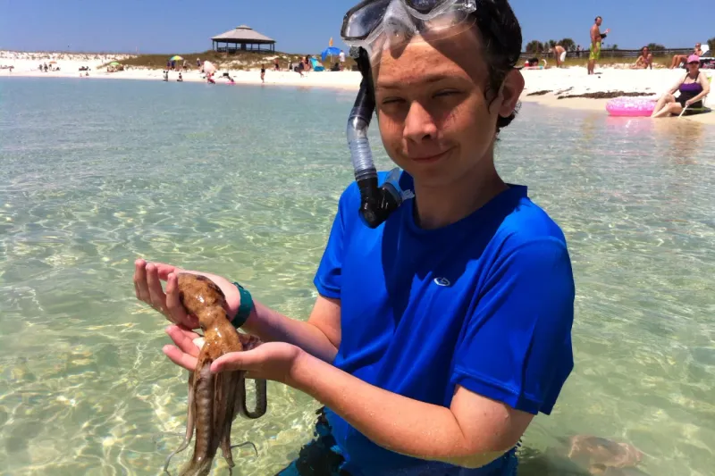 Marine Life Discovery Tour