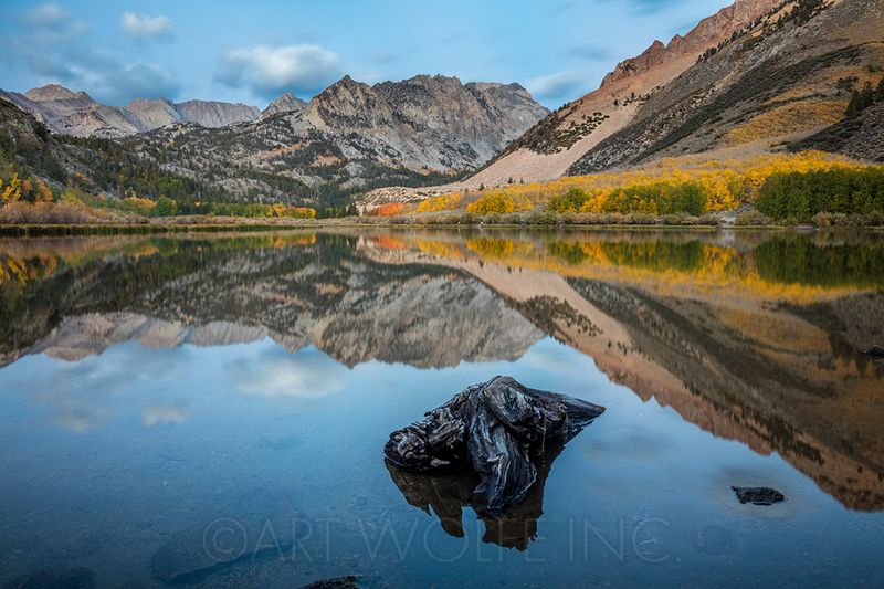 Photography Workshops