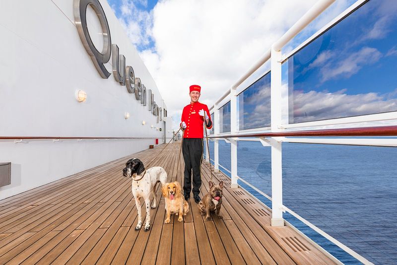 Pet-Friendly Options