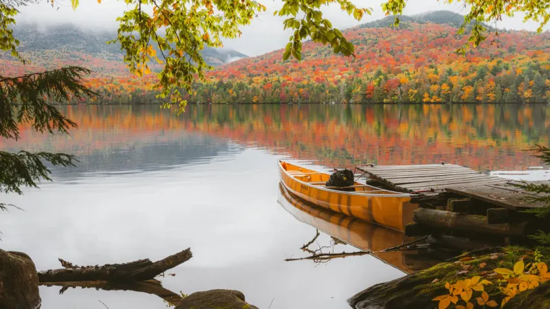 Serene Nature Retreats