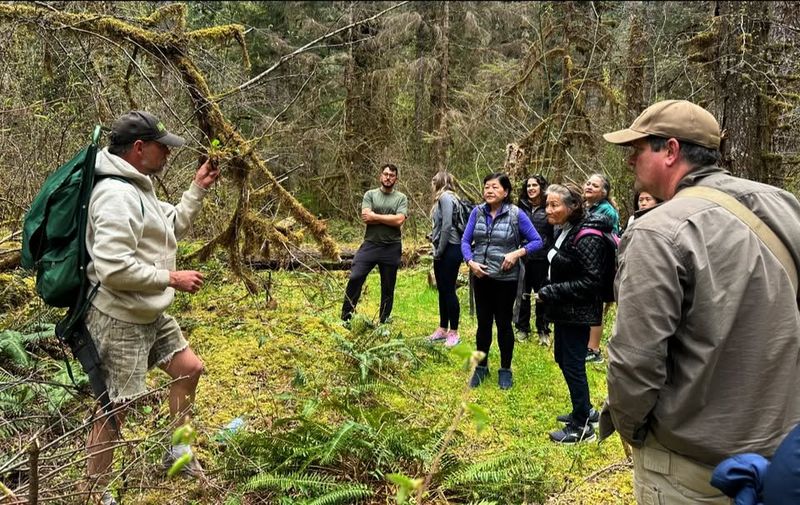 Forest Foraging Adventure