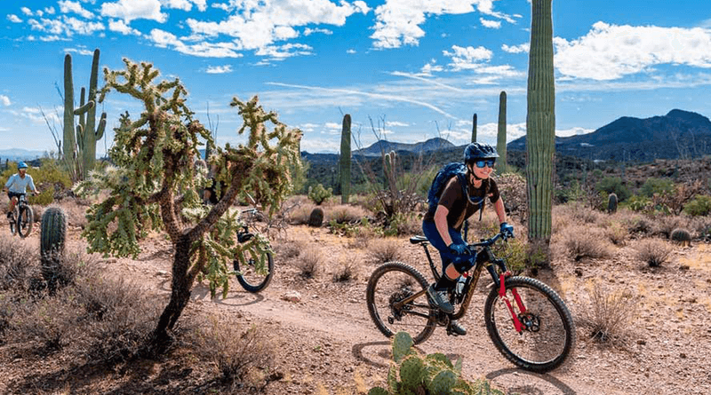 Mountain Biking Trails
