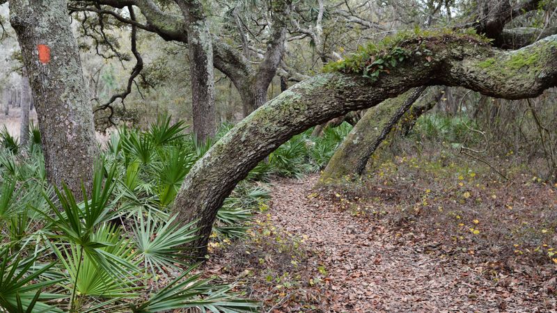 Nature Trails and Hiking Paths