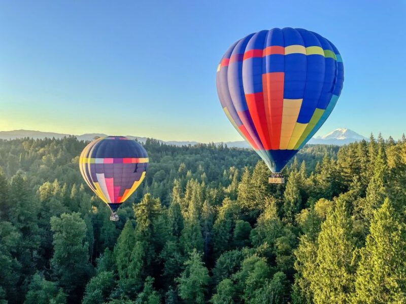Scenic Hot Air Balloon Ride