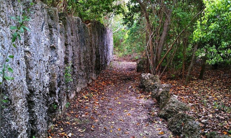 Windley Key Fossil Reef's Secret Swimming Holes