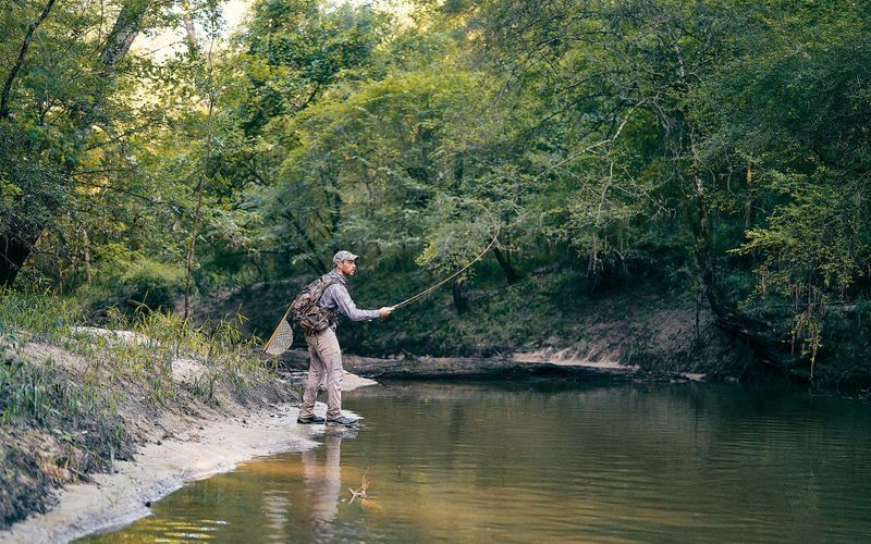 Tranquil Fishing Spots