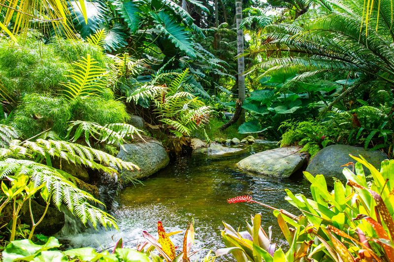 San Diego Botanic Garden