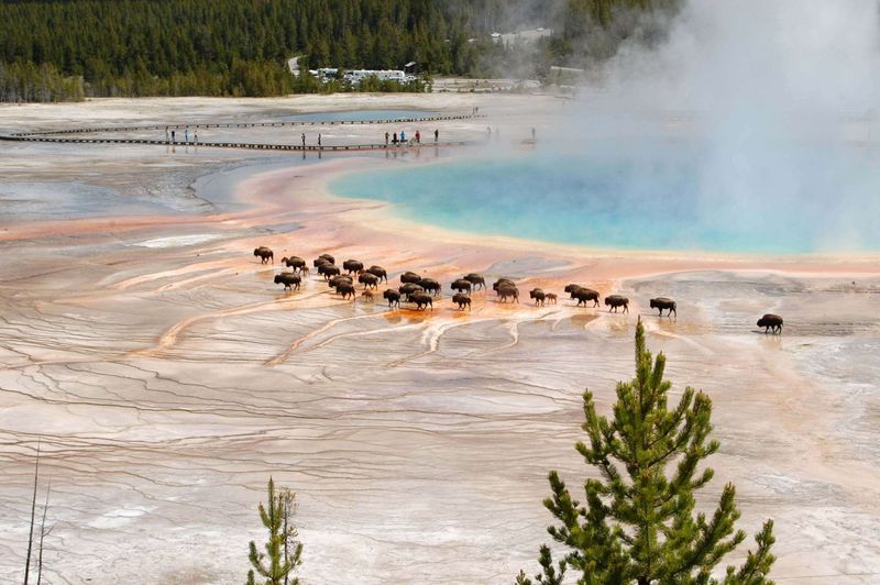 Yellowstone National Park, Wyoming
