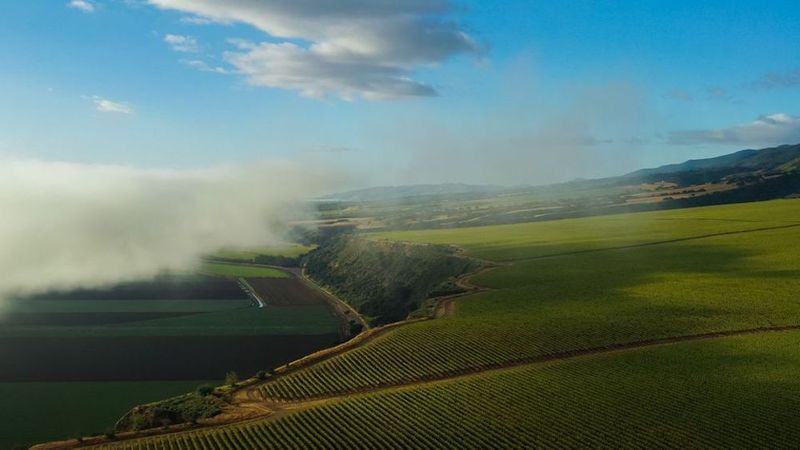 Monterey County's River Road Wine Trail
