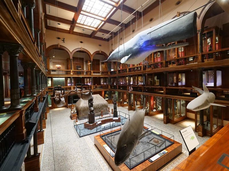 Educational Museums