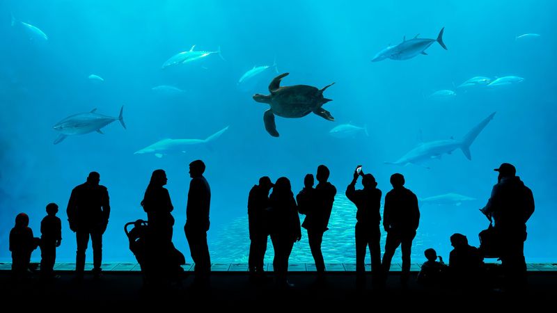 Maryland - National Aquarium, Baltimore
