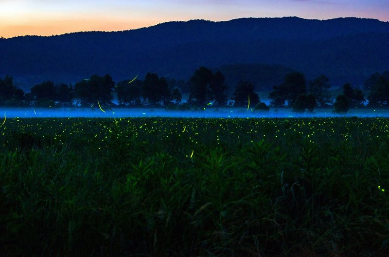 Cades Cove, Tennessee, USA