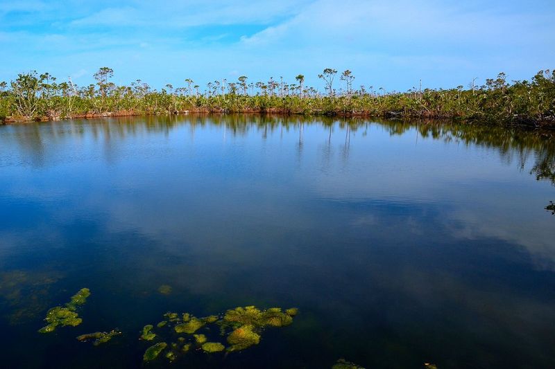 Big Pine Key's Blue Hole Beach Access