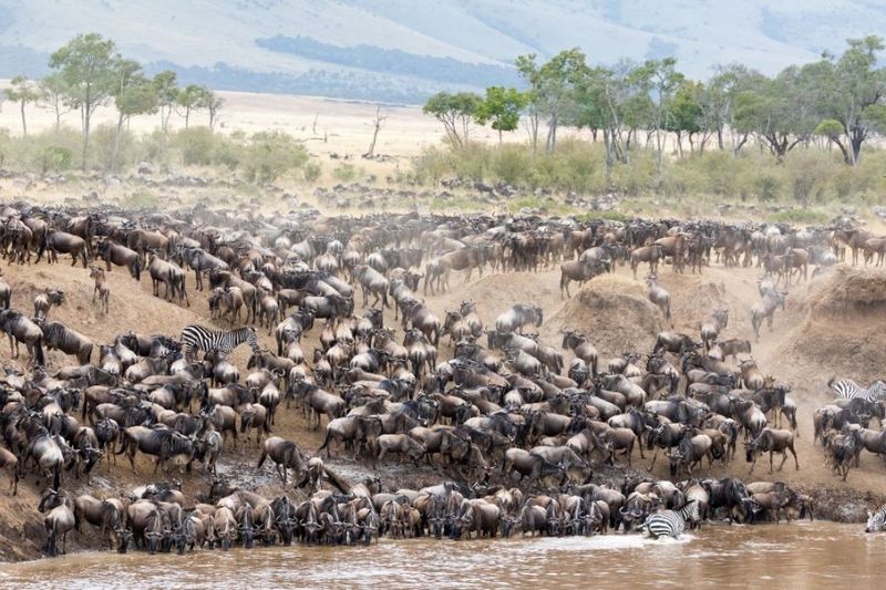 Serengeti National Park, Tanzania