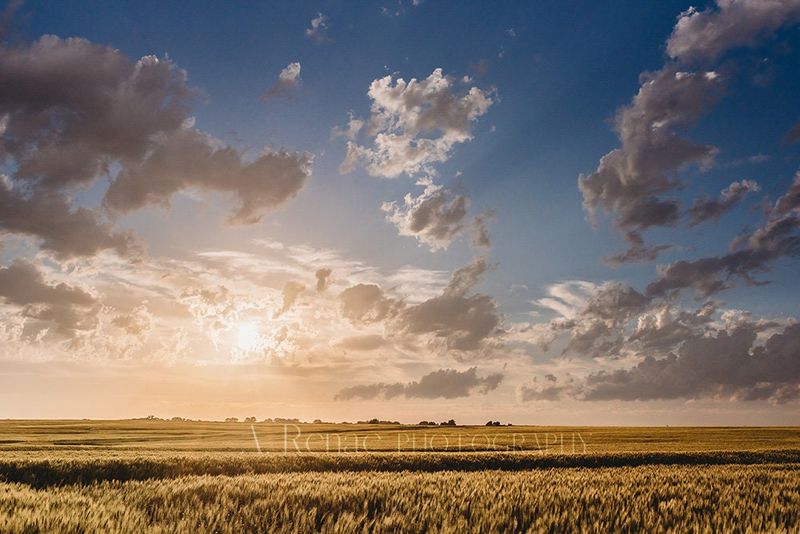 Kansas