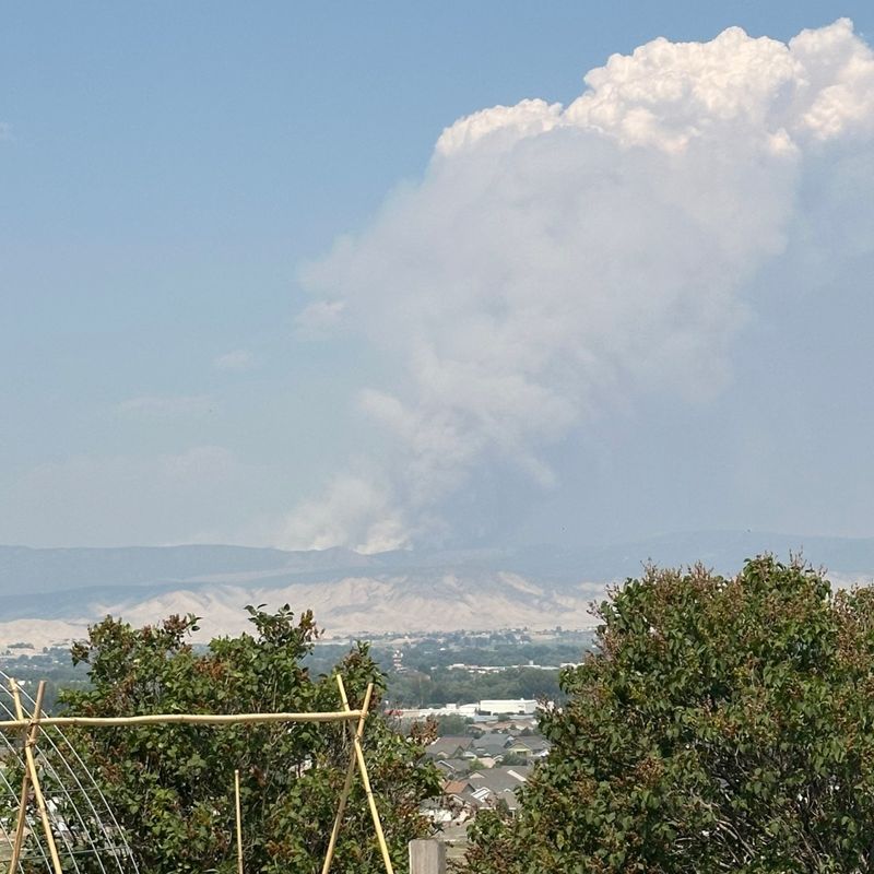 Reasons the Fire Spread So Quickly