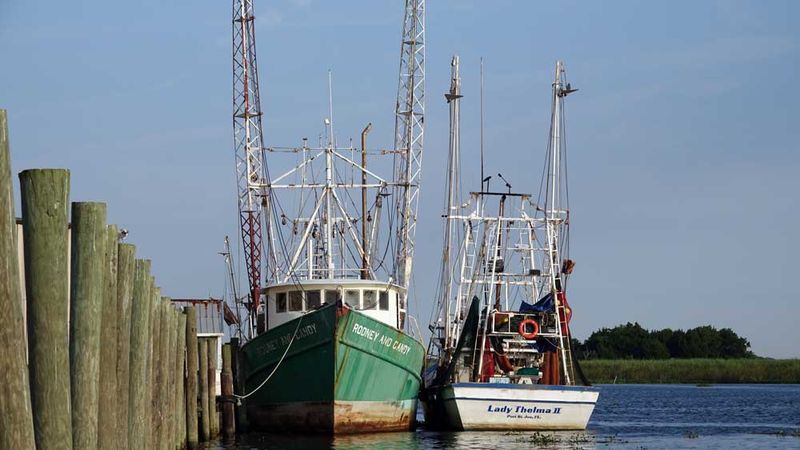 Apalachicola's Oyster Heaven