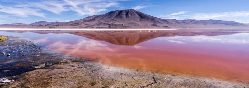 Laguna Colorada, Bolivia
