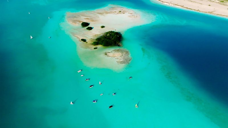 Bacalar