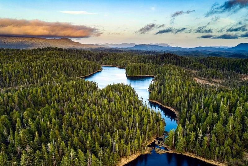 Alaska's Tongass National Forest