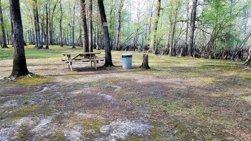 Secret Camping Spots Steps from the Water