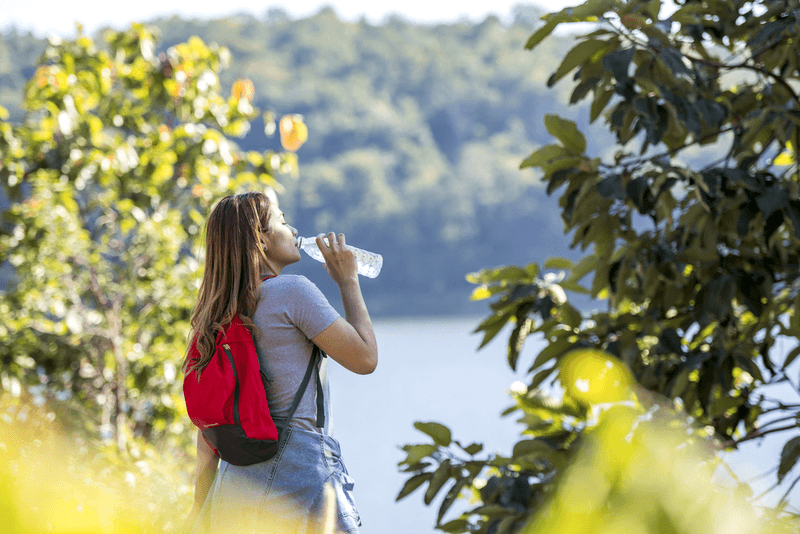 Prioritize Health and Wellness