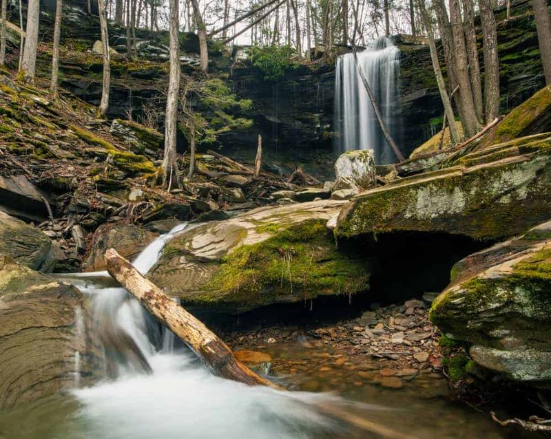 Jacoby Falls