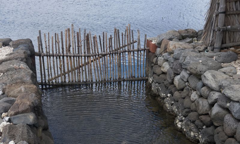 Kapapa Island Fishpond