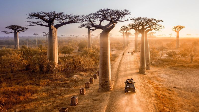Madagascar