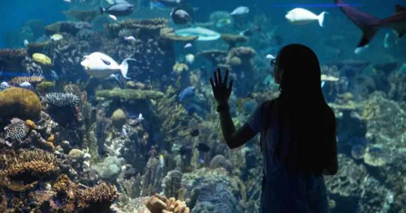 National Aquarium (Baltimore, MD)