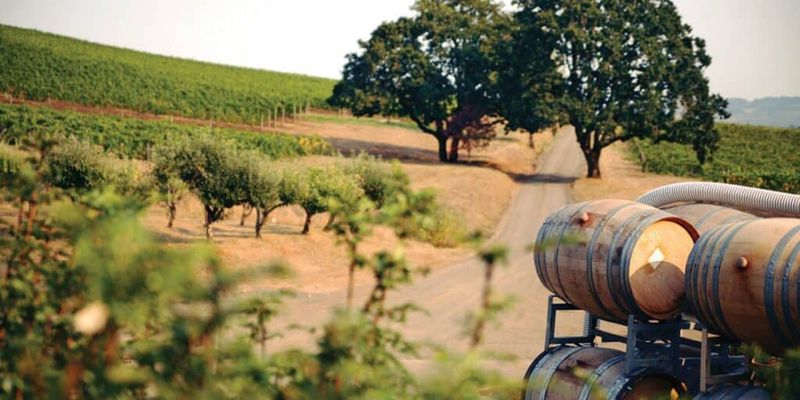 Paso Robles Wine Country Backroads