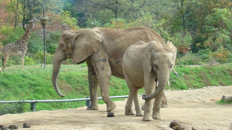 Pittsburgh Zoo & Aquarium (PA)