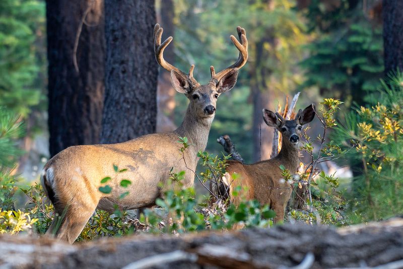 Wildlife Paradise With 400+ Species