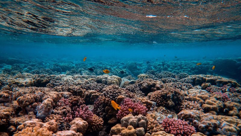 The Great Barrier Reef, Australia