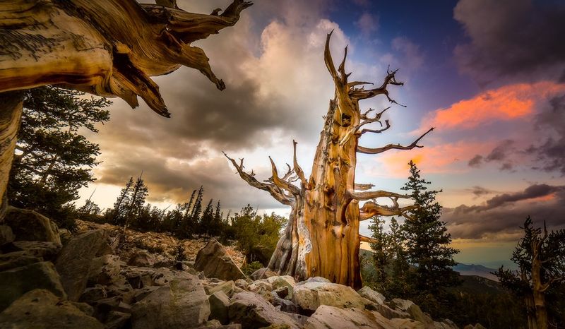 Great Basin National Park
