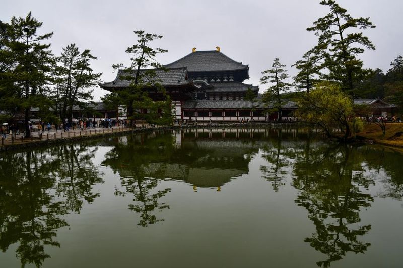 Nara, Japan - Deer Park Capital