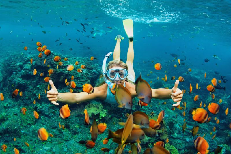 Myth 20: Cruises Are Not for Adventurers